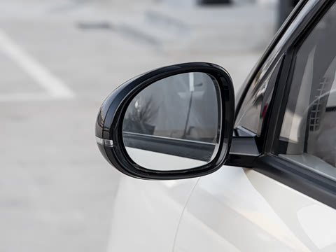 2026�� ����� 301km ���׿�