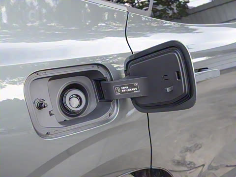 2026�� ������������Plus