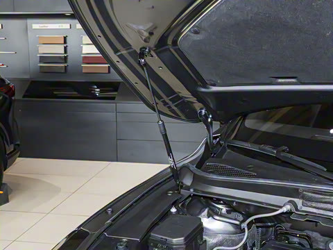 2026�� 350h ����������