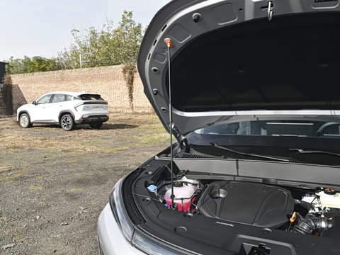 2026�� 135km �캽��