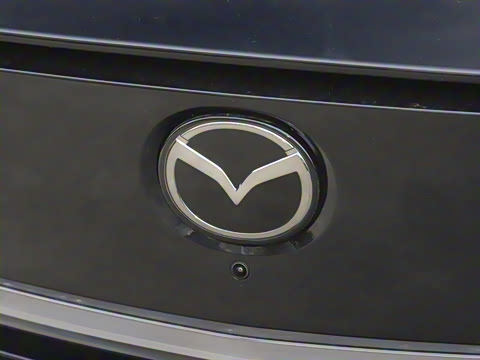 2025�� ����600 Pro