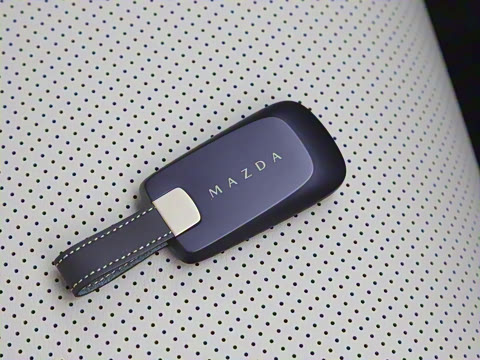 2025�� ����600 Pro