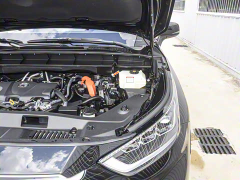 2026�� 2.5L���ܵ��˫��������Ӣ�� 7��