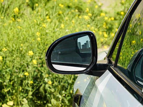 2026�� DM-i �Ǻ���