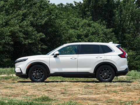 2026�� ȫ��30����ҫ�� 1.5T ��������7����
