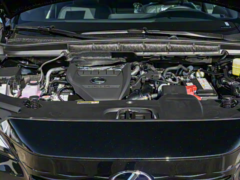 2026�� 300 ����������