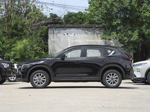 2025�� 2.0L �Զ�����������