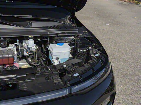 2025�� 650������