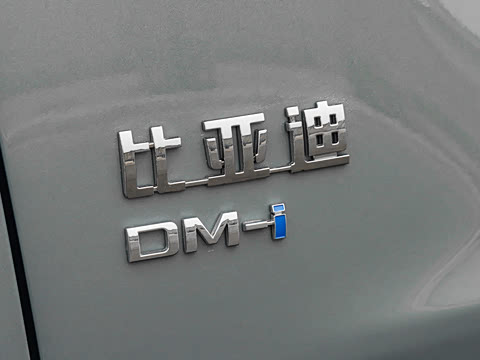 2026�� DM-i 310KM ׿Խ��