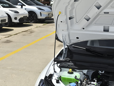 2026�� 535km ���а�