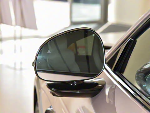 2025�� ������������Pro��