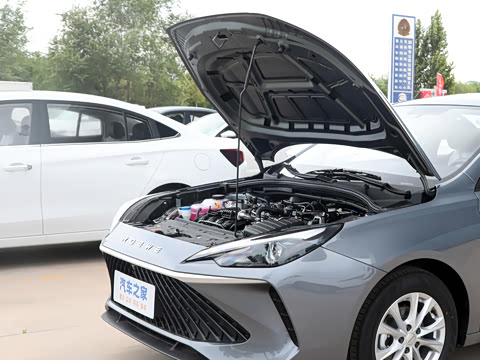 2026�� 1.5L �ֶ�������