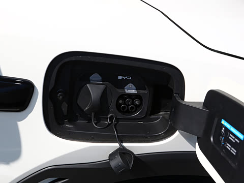 2026�� 305km ���ɰ�