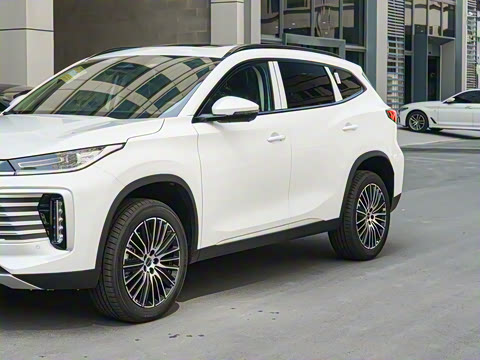 2025�� 300T ������ҹ��