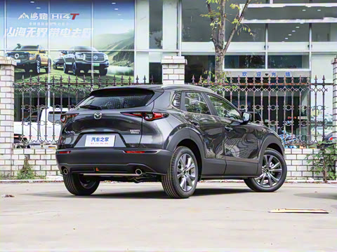 2025�� 2.0L �Զ�������