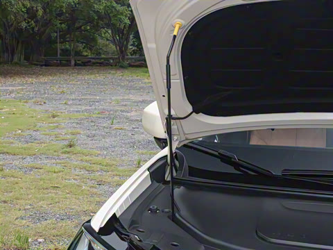 2026�� ���������� ��ͥ�� 650 �����