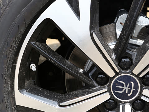 2026�� DM-i 220KM��Խ��