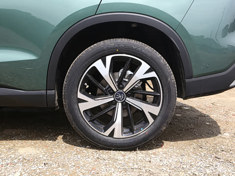 2026�� DM-i 220KM��Խ��