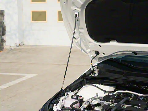 2026�� 1.8L ˫�� ��Ӣ��