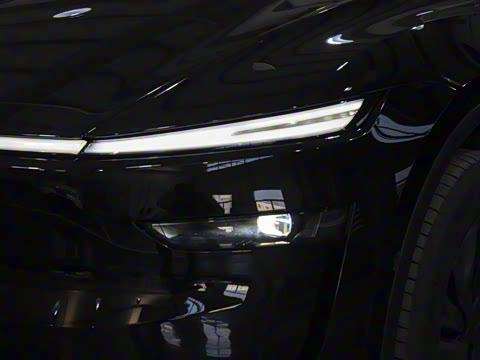 2026�� ����������������