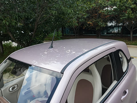 2026�� 222km ��ҫ��