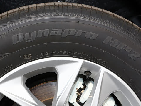 2026�� 2.5L �߶���