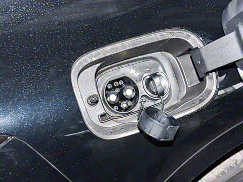 2026�� �����������̰� 310������