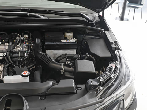 2026�� ����L 185T ������