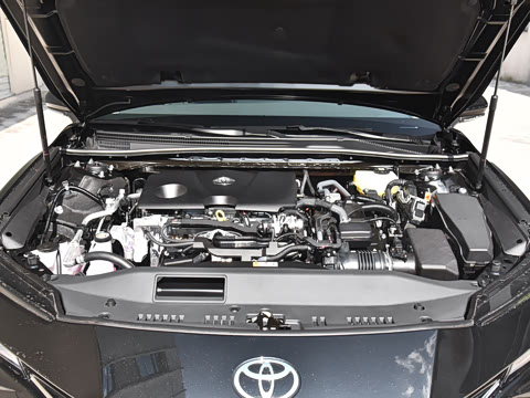 2026�� ˫�� 2.0HGVP ������