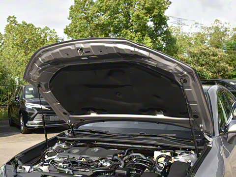 2026�� ˫�� 2.5HG ����