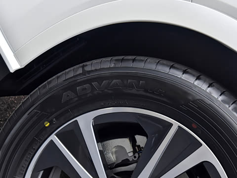 2026�� 350h ����������