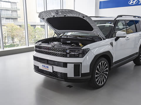 2026�� 2.0T ���ͼ�Pro Max