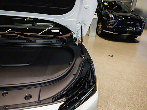 2025�� 710 Max��