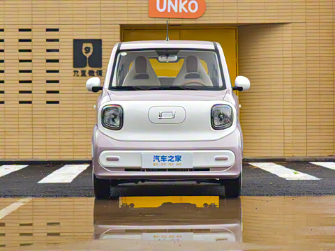 2026�� 222km ��ҫ��