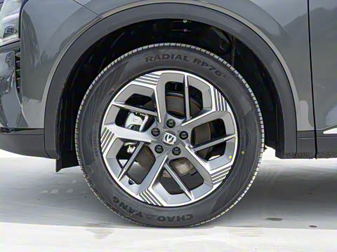 2025�� ���Ĵ� 1.5T ������ �ǻ�׿Խ��