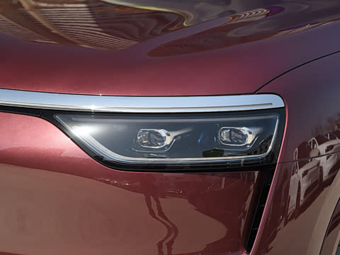 2025�� ���� Max+ ������������ 