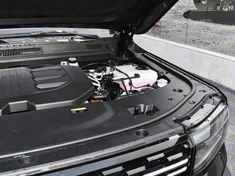 2025�� ������-��Ұ 5��