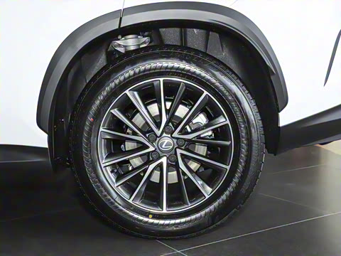 2025�� 350h JOY X