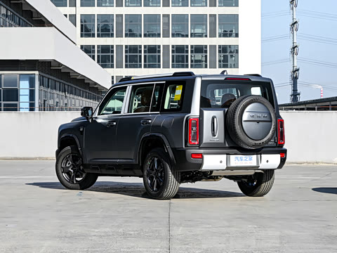 2025�� 2.0T 4WD Pro