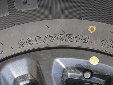 2025�� ̽Ұ�� 5��