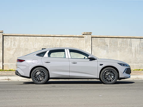 2026�� DM-i 210KM������