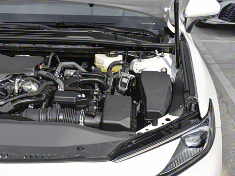 2026�� ˫�� 2.5HG ����