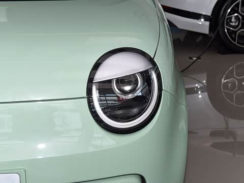 2026�� ���ذ� 205km �İ��� ����