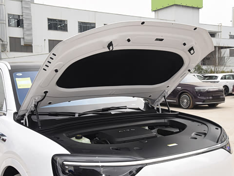 2026�� ���� Max�������� 5��