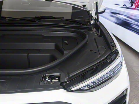 2026�� ����������