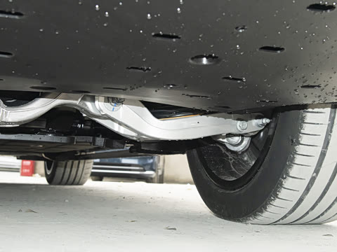 2025�� ���� Max+ ���������� 