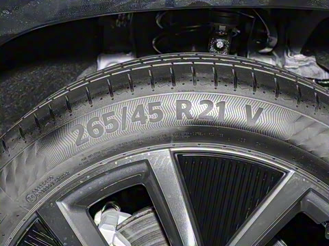 2025�� ����������Pro