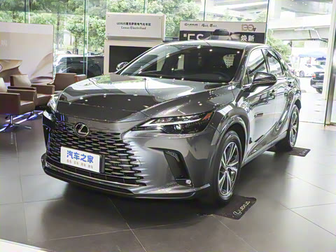 2025�� 300 ����������