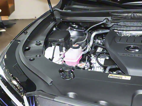 2025�� 300 ����������