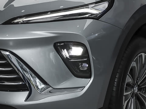 2025�� 25T �׽��